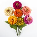 Vibrant Multi-colored Zinnias In A Limited Color Range Vase