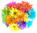 Vibrant Multicolored Daisy Bouquet