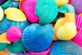 Vibrant Multicolored Seashells