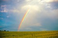 Vibrant natural rainbow in the dramatic blue sky over the summer green field