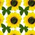 Vibrant and natural yellow sunflower and butterfly seamless pattern artwork