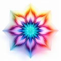 Vibrant Neon Colored Flower In Geometric Symmetry Royalty Free Stock Photo