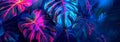 Vibrant neon colored tropical leaves