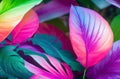 Vibrant Neon Tropical Leaves Layout: Creative Fluorescent Colors for a Nature Concept.