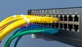 Vibrant Network Cables Connected to a Switch Royalty Free Stock Photo