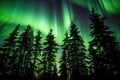 vibrant northern lights appearing behind silhouetted fir trees