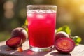 Vibrant Orange Beetroot Juice in a Glass Royalty Free Stock Photo