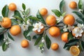 Vibrant Orange Citrus Bloom - Minimalist Elegance. Concept Minimalist Elegance, Vibrant Orange