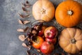 Vibrant Orange Color Pumpkin Ripe Organic Red Glossy Apples Pomegranates Chestnuts Persimmons Dry Autumn on Grey Stone Background.