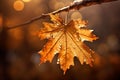 Vibrant orange fall leaf with glistening water droplets on a bokeh background, AI-generated. Royalty Free Stock Photo