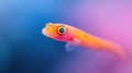 A Vibrant Orange Fish Close up Royalty Free Stock Photo
