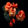 Vibrant Orange Flowers: A Photorealistic Pastiche Inspired By Mike Campau