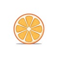 Vibrant Orange Fruit Slice in Vector Illustration Close Up Graphic Element Isolated on White Background Royalty Free Stock Photo