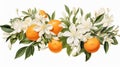 A vibrant orange, its citrusy zest accentuated by delicate orange blossoms and leaves Royalty Free Stock Photo