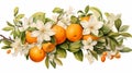 A vibrant orange, its citrusy zest accentuated by delicate orange blossoms and leaves