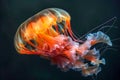 Vibrant Orange Jellyfish Gliding Gracefully in the Dark Ocean Depths, Marine Life Beauty