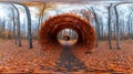 A vibrant orange leaf covered archway leads through a forest path in autumn fall Royalty Free Stock Photo