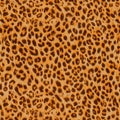 Vibrant orange leopard pattern texture background with detailed spots and fur texture for design projects and creative inspiration Royalty Free Stock Photo