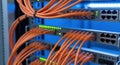 Vibrant orange network cables connect multiple server rack switches with blinking green lights indicating activity Royalty Free Stock Photo