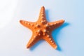 Vibrant orange starfish isolated on smooth white surface Royalty Free Stock Photo