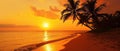 A Vibrant Orange Sunset Illuminates Palm Trees On A Tropical Beach