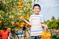 A smiling kid eagerly reaches for an orange in a lush orange tree garden Royalty Free Stock Photo