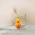 Vibrant orange, yellow lemon and white lily of the valley on biege wall. Spring or summer pastel background with shadows. Minimal
