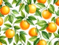 Vibrant Oranges and Lush Green Leaves Seamless Pattern on White Background fruit citrus Royalty Free Stock Photo