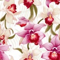 Vibrant orchid pattern for a coffee table or accent chair Royalty Free Stock Photo