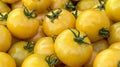 Vibrant organic yellow tomatoes texture background for fresh produce enthusiasts