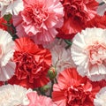 Vibrant Packed Carnation Floral Pattern Royalty Free Stock Photo