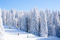 Vibrant panorama of the slope at ski resort Kopaonik, Serbia, people skiing, snow trees, blue sky Royalty Free Stock Photo