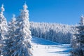 Vibrant panorama of the slope at ski resort Kopaonik, Serbia, people skiing, snow trees, blue sky Royalty Free Stock Photo