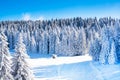 Vibrant panorama of the slopes at ski resort, snow trees, blue sky Royalty Free Stock Photo