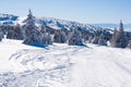 Vibrant panorama of the slopes at ski resort, snow trees, blue sky Royalty Free Stock Photo
