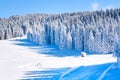 Vibrant panorama of the slopes at ski resort, snow trees, blue sky Royalty Free Stock Photo