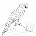 Realistic Parrot Coloring Page: Detailed And Graphical Parrot Sitting On A Rock