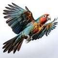 Vibrant parrot soars through the sky