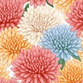 Vibrant Pastel Chrysanthemums Floral Seamless Pattern On White Royalty Free Stock Photo