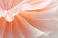 Vibrant Peach Fuzz Colored 3D Abstract Art Background for Graphic Design and Creative Projects