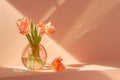Vibrant peach tulips in a glass vase, casting soft shadows on a pastel background Royalty Free Stock Photo