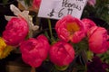 Vibrant Peonies in Grandvill Market, Vancouver, Canada Royalty Free Stock Photo