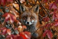 Vibrant photorealistic image red fox peeking through autumn foliage in dappled sunlight