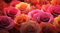 Vibrant Photorealistic Renderings Of Colorful Rose Arrangements