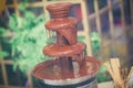 Vibrant Picture of Chocolate Fountain Fontain on childen kids birthday party with a kids playing around and marshmallows and fruit Royalty Free Stock Photo