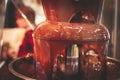 Vibrant Picture of Chocolate Fountain Fontain on childen kids birthday party with a kids playing around and marshmallows and fruit