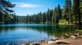 Vibrant Pine Trees And Crescent Lake: A Nikon D850 Precisionist Plein Air