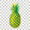 Vibrant Pineapple Vector Illustration and Geometric Patterns Royalty Free Stock Photo