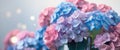Vibrant Pink Blue Purple Hydrangeas Floral Background Royalty Free Stock Photo