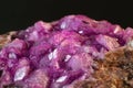 Vibrant pink Cobalto calcite with deep green Malachite mineral